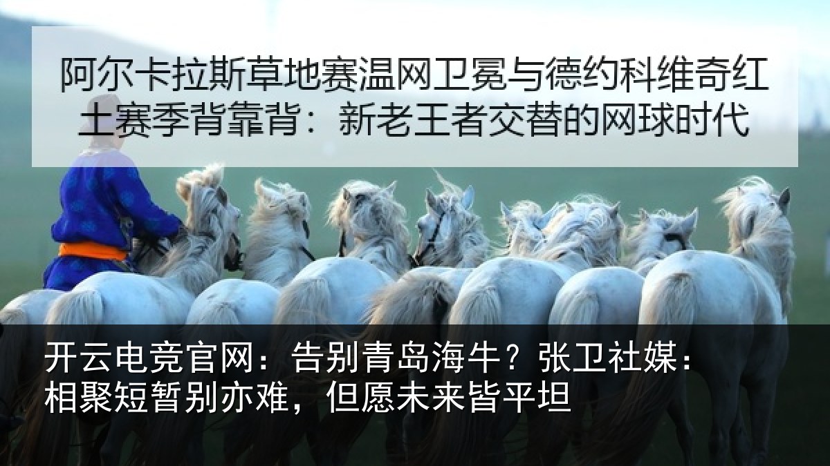 开云电竞官网：告别相关情况：相聚相关情况