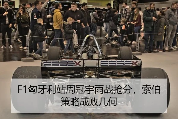 F1匈牙利站周冠宇雨战抢分，索伯策略成败几何